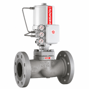 Flowserve Valtek Mark One Globe Control Valve